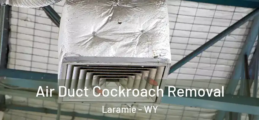  Air Duct Cockroach Removal Laramie - WY