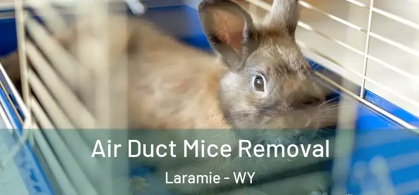 Air Duct Mice Removal Laramie - WY