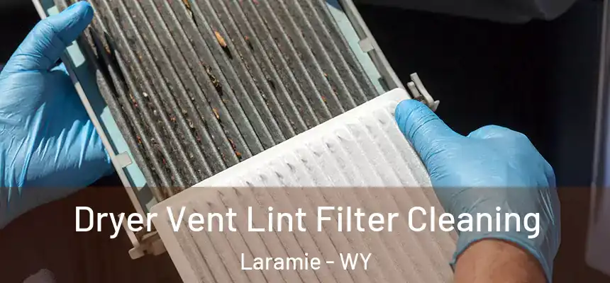 Dryer Vent Lint Filter Cleaning Laramie - WY