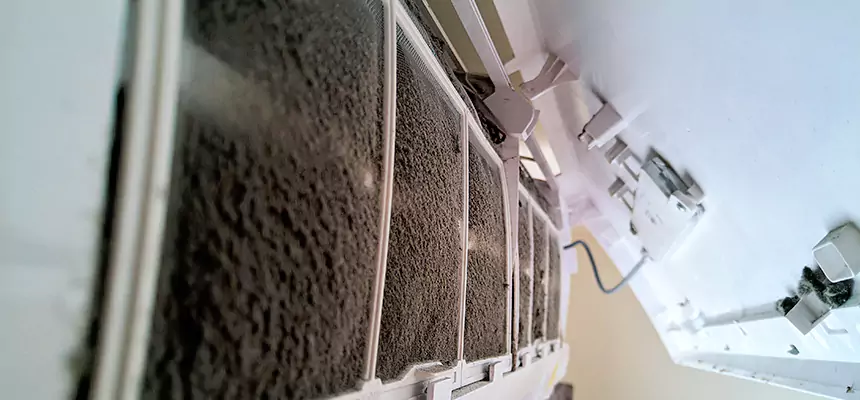 Preventive Air Duct Bacteria Removal in Laramie