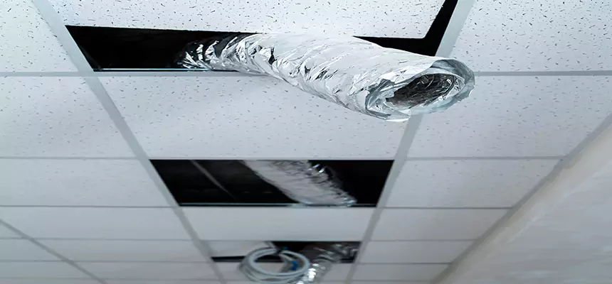 Affordable HVAC Sanitizing After Pest Removal in Laramie