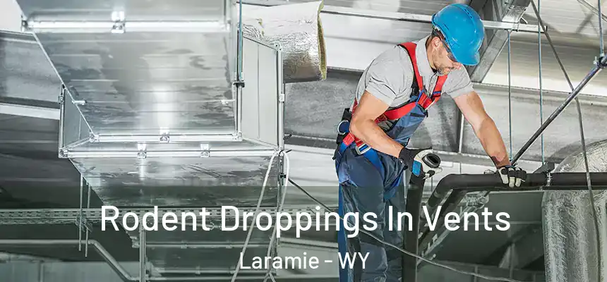  Rodent Droppings In Vents Laramie - WY