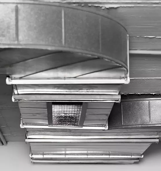 Professional Air Duct Pest Removal in Laramie, WY