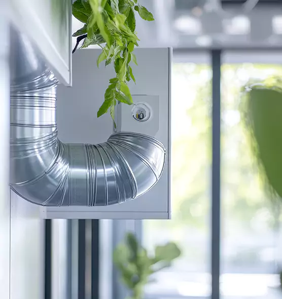 Professional Eco-Friendly Duct Cleaning Services in Laramie, WY